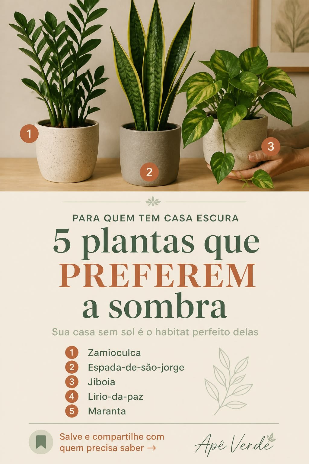 Três plantas em vasos claros sobre um móvel de madeira, uma zamioculca, uma espada-de-são-jorge e uma jiboia, com a lista de cinco plantas que preferem sombra
