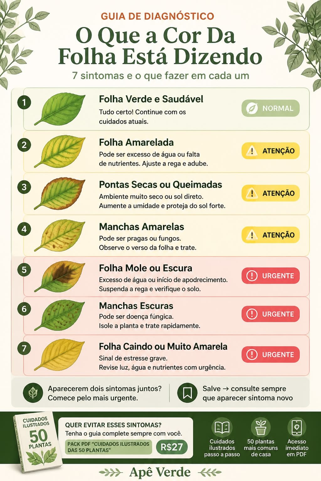 Infográfico com sete folhas desenhadas mostrando sintomas como folha amarelada, pontas secas, manchas amarelas, folha escura e manchas escuras, com o nível de urgência de cada um