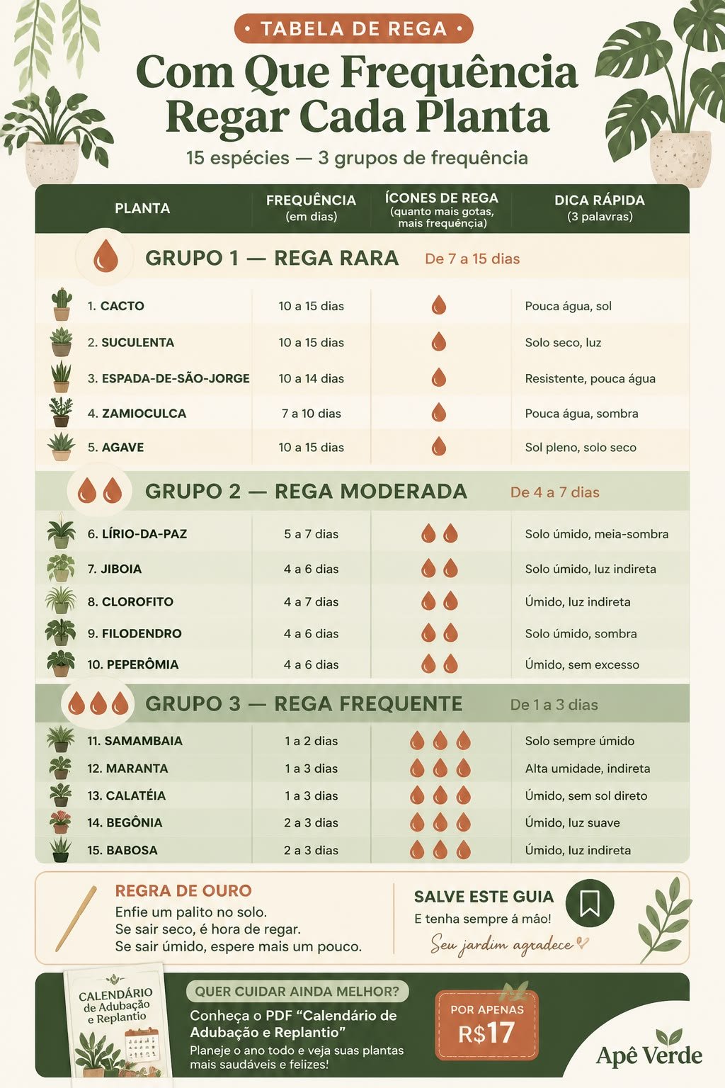 Tabela ilustrada com a frequência de rega de plantas comuns de apartamento e a indicação de fazer o teste do palito antes de regar