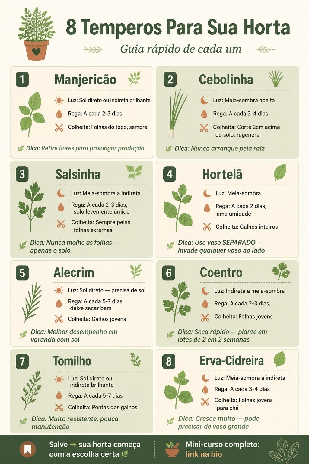 Guia visual com oito temperos em vasos, como manjericão, cebolinha, salsinha e coentro, com informações de luz, rega e colheita de cada um