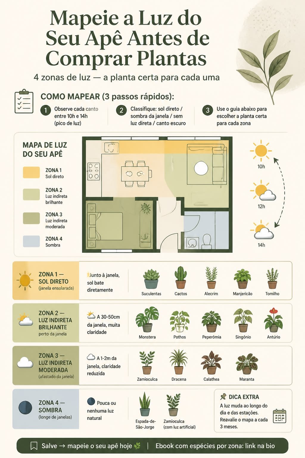Planta baixa de um apartamento colorida em quatro zonas de luz, de sol direto a sombra, com exemplos de plantas indicadas para cada zona