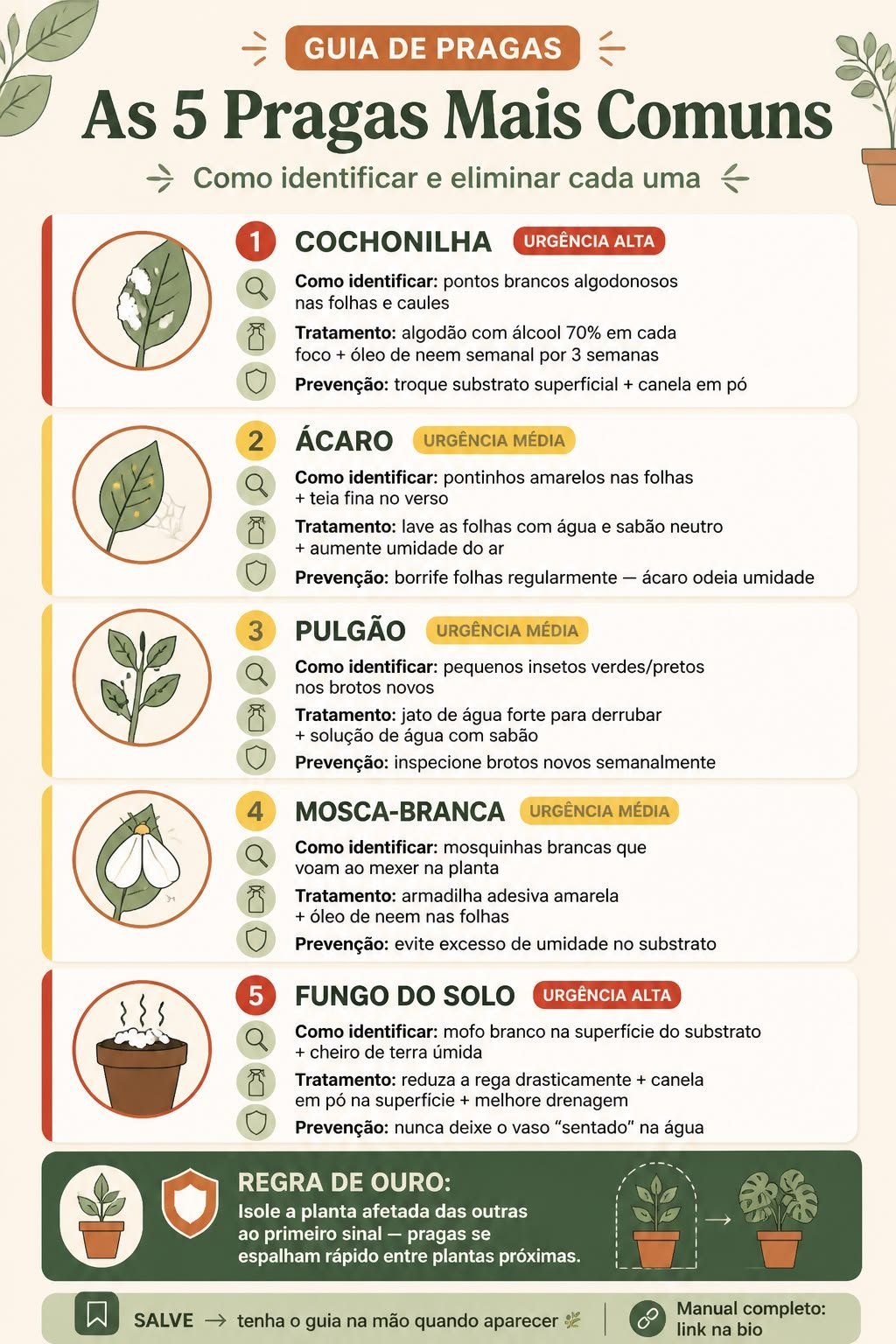 Infográfico com as cinco pragas mais comuns em plantas, como cochonilha, ácaro, pulgão, mosca-branca e fungo do solo, com ilustrações e formas de identificar e tratar