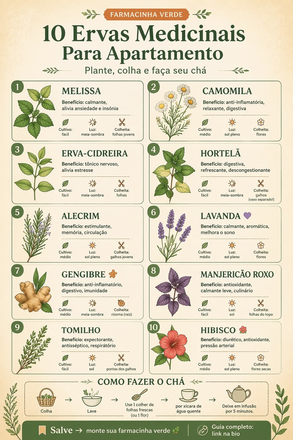 Infográfico com dez ervas para chá cultivadas em apartamento, como melissa, camomila, hortelã, alecrim e hibisco, com nível de cultivo, luz e parte colhida
