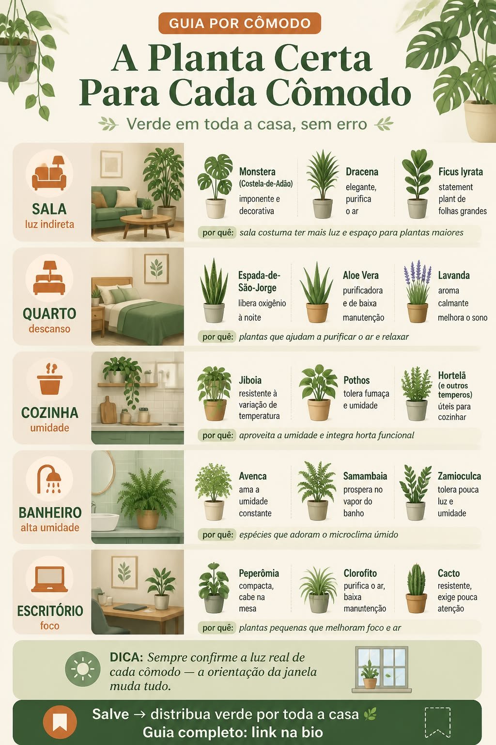 Infográfico com sugestões de plantas para sala, quarto, cozinha, banheiro e escritório, com foto ilustrativa de cada cômodo